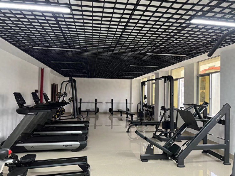 史密斯综合训练器优缺点_史密斯机综合训练器哪个牌子好_综合训练器 史密斯机