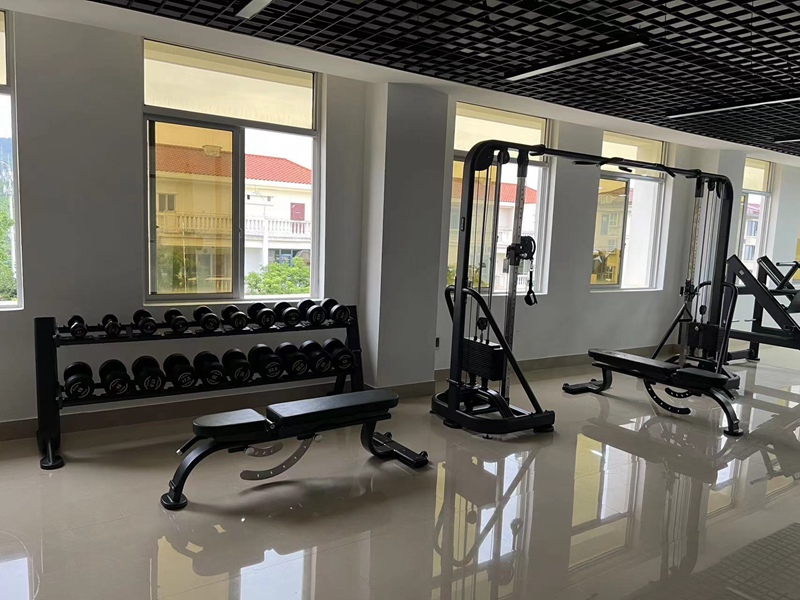 史密斯综合训练器优缺点_史密斯机综合训练器哪个牌子好_综合训练器 史密斯机