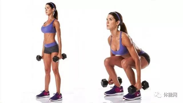 股四头肌训练椅安装步骤_股四头肌训练椅子_股四头肌训练椅