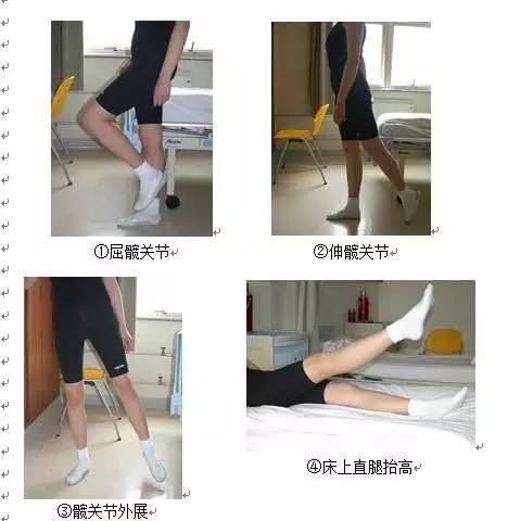 髋关节训练椅_髋关节置换术适应症 _ 人工关节置换术前准备