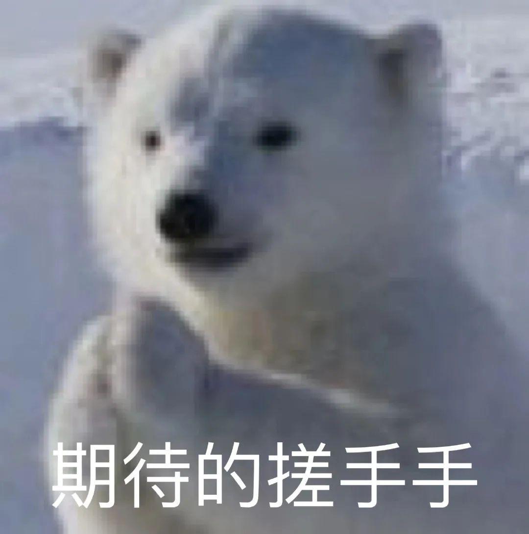 国产跑步机品牌排行_跑步机什么牌子好 百度知道_麦瑞克跑步机测评