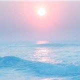 开yun体育app官方下载入口 综合训练器推荐：打造你的专属家庭健身房