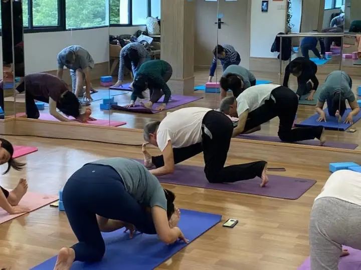 瑜伽杭州_杭州健身房瑜伽_杭州市瑜伽健身协会