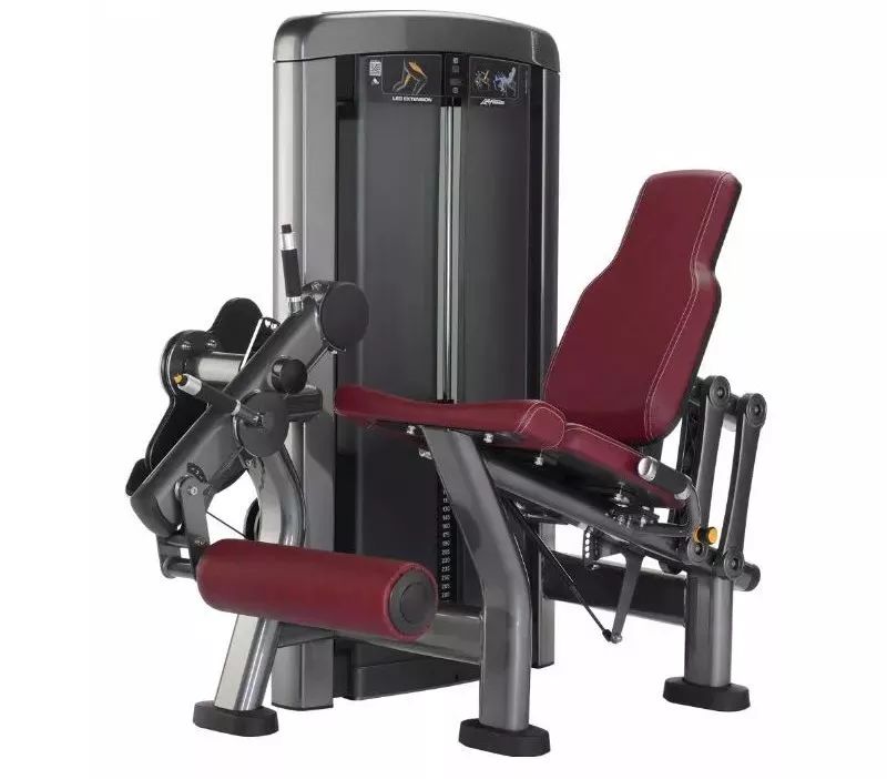 开yun体育app入口登录 每日器械丨腿部器械丨股四头肌训练器丨俯身腿弯举训练器