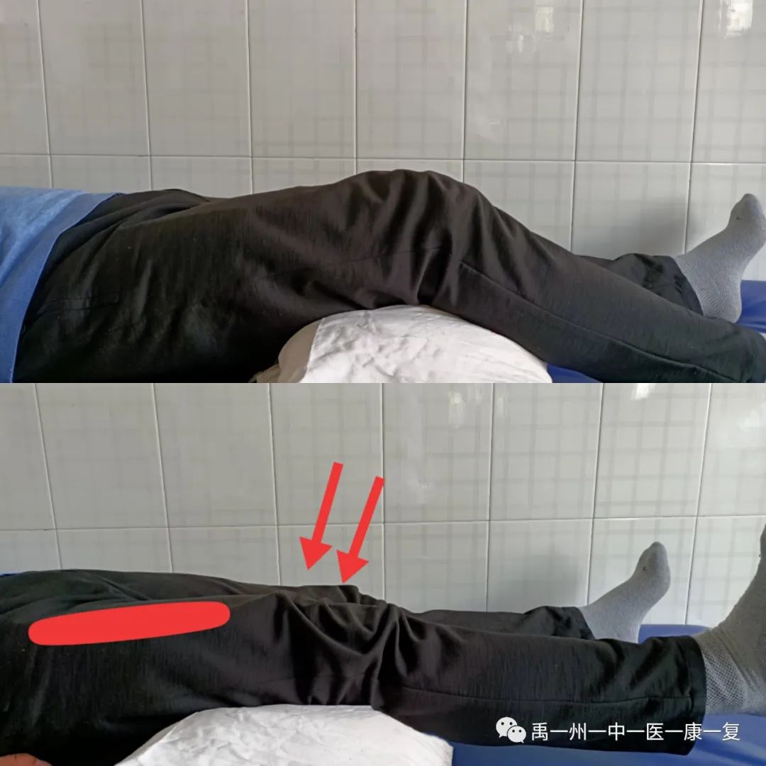 股四头肌训练椅_股四头肌训练椅使用方法_股四头肌训练椅安装步骤