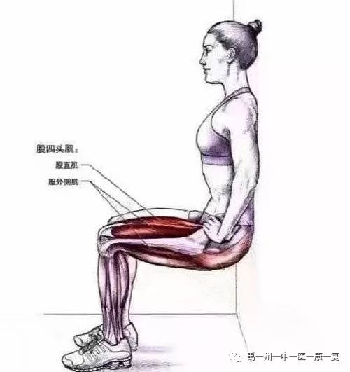 股四头肌训练椅使用方法_股四头肌训练椅_股四头肌训练椅安装步骤