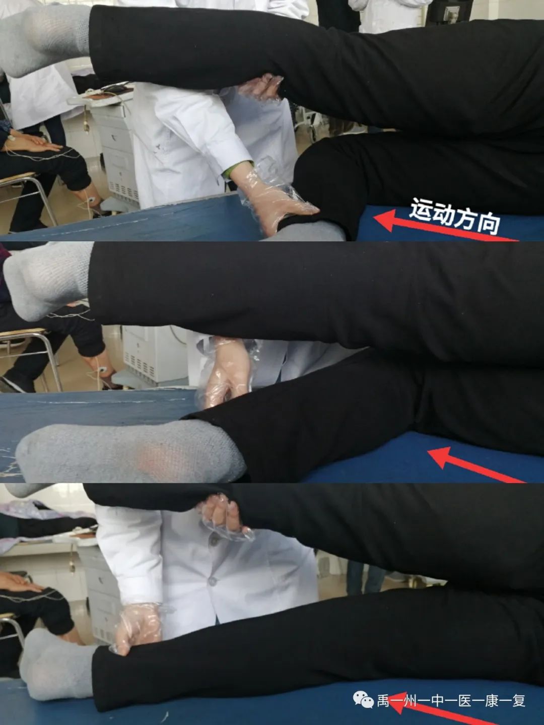 股四头肌训练椅使用方法_股四头肌训练椅_股四头肌训练椅安装步骤