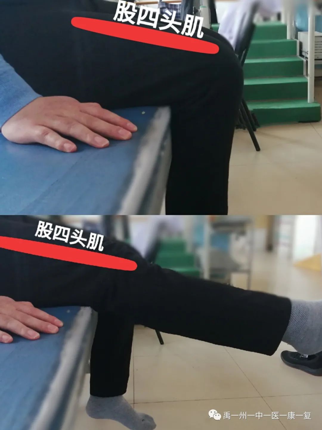 股四头肌训练椅安装步骤_股四头肌训练椅使用方法_股四头肌训练椅