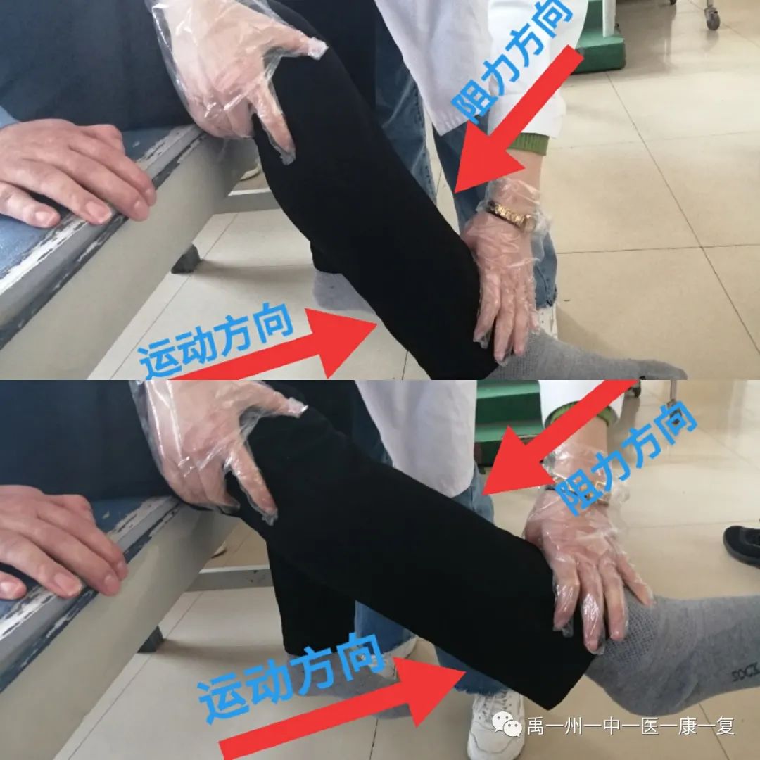 股四头肌训练椅使用方法_股四头肌训练椅_股四头肌训练椅安装步骤