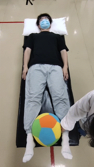 髋关节置换术后康复训练方法 _髋关节训练椅_人工髋关节置换术康复训练