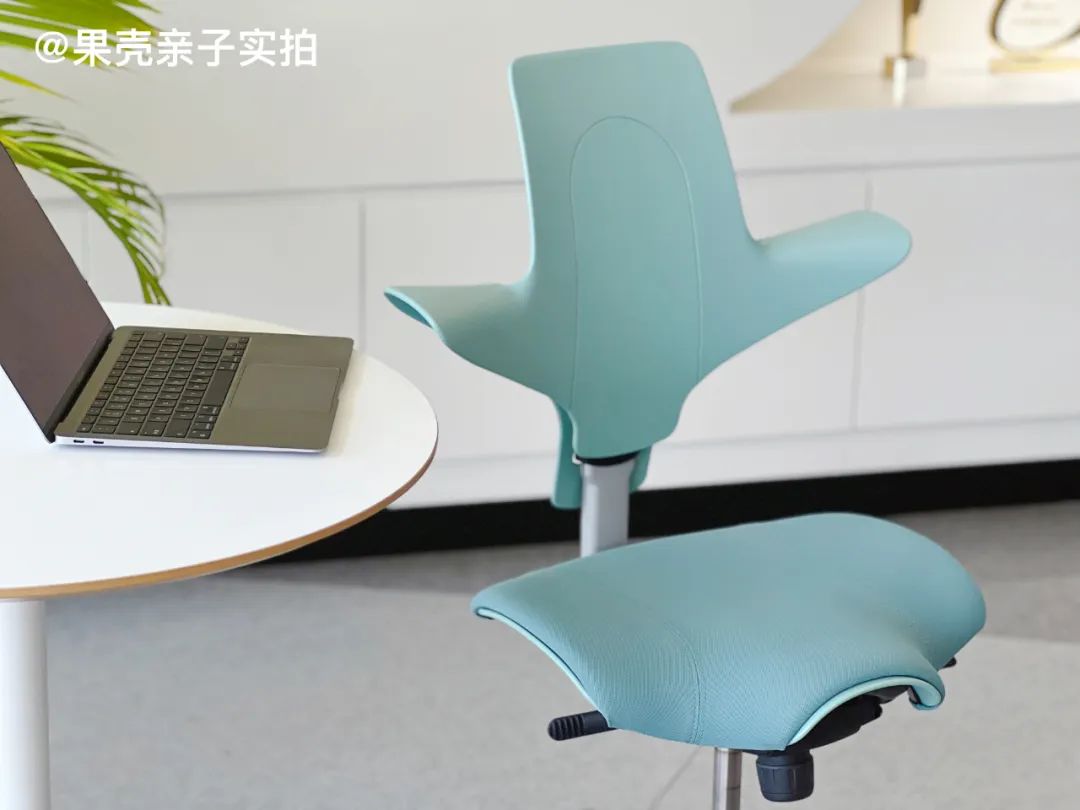 HÅG Capisco Puls 骑马椅_髋关节训练椅_挪威进口人体工学椅