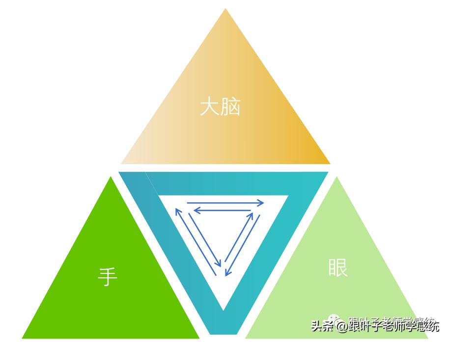 感统训练单腿椅_椅子练腿_感统课独脚凳的目的