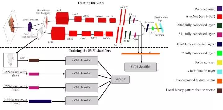 雷克综合训练器安装_雷克综合训练器安装_雷克综合训练器安装