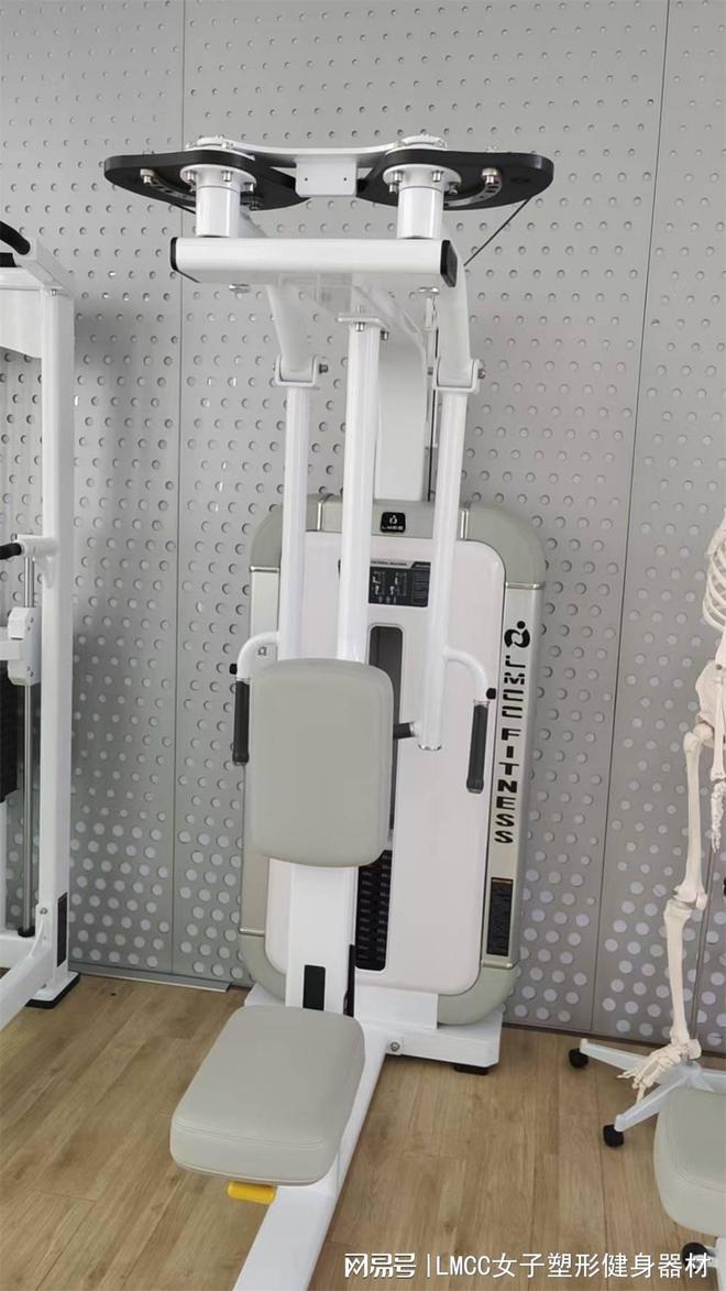 多功能综合训练器_多功能胸背训练器原理_配重与阻力系统设计