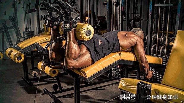 开yunapp体育官网入口下载手机版 玩转器械#09：容易被忽视的大腿后侧——股二头肌训练