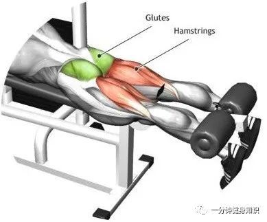 股四头肌训练椅注意事项_股四头肌训练椅_股四头肌训练椅安装视频