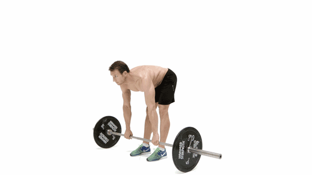 股四头肌训练椅注意事项_股四头肌训练椅安装视频_股四头肌训练椅