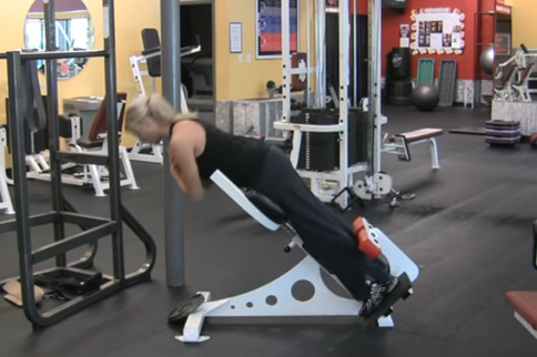 开yun体育官网入口登录app 罗马椅挺身标准动作图解