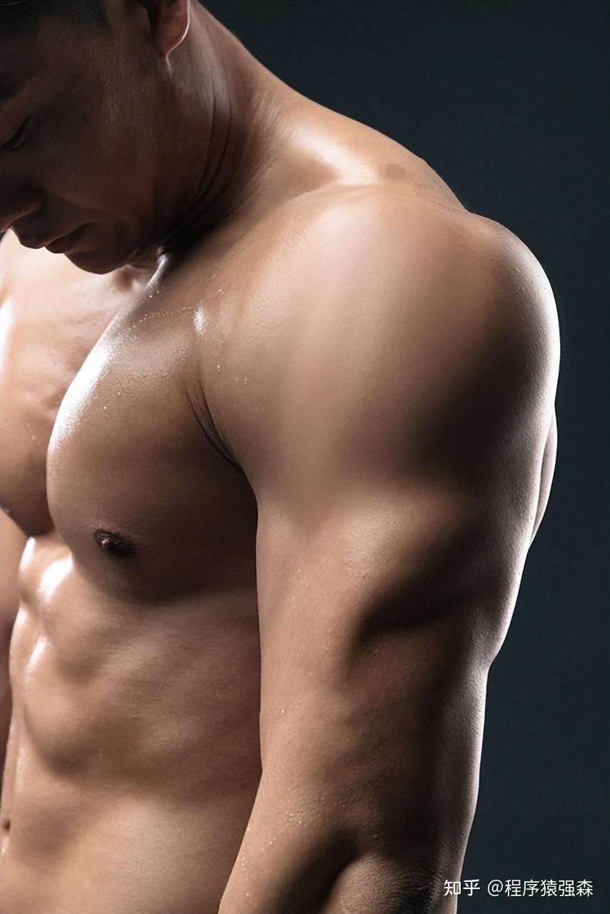 力量综合训练器_核心与腹肌的区别_腹肌训练与核心训练