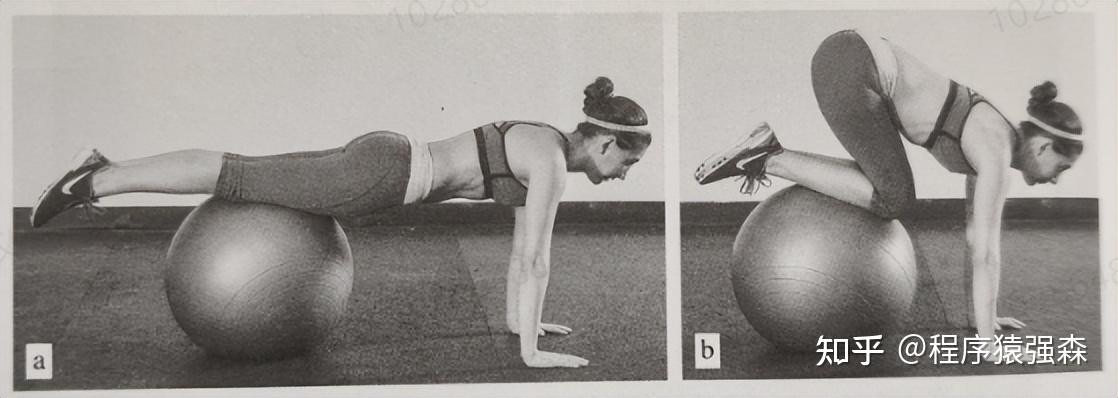 力量综合训练器_核心与腹肌的区别_腹肌训练与核心训练