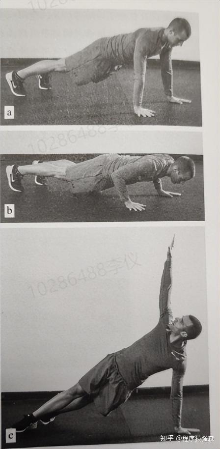 力量综合训练器_腹肌训练与核心训练_核心与腹肌的区别