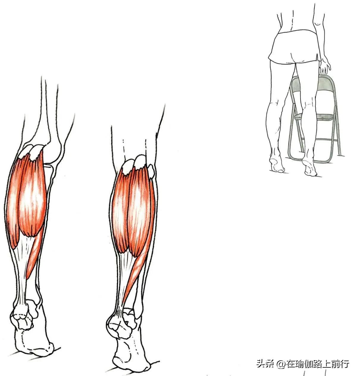 幻椅式练习_增强下肢肌肉力量_股四头肌训练椅