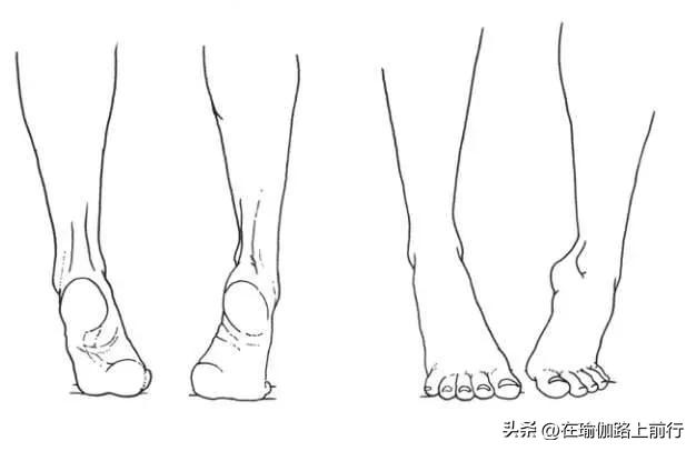 股四头肌训练椅_增强下肢肌肉力量_幻椅式练习