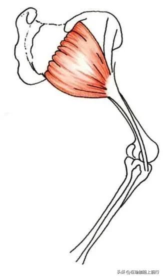 幻椅式练习_股四头肌训练椅_增强下肢肌肉力量