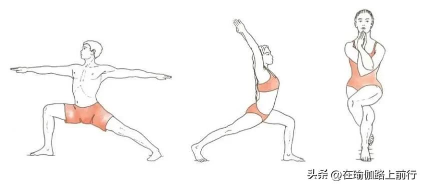 幻椅式练习_增强下肢肌肉力量_股四头肌训练椅