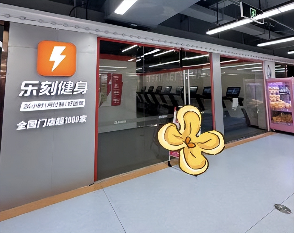 家用跑步机质量排名_科学减脂营养代餐品牌_瘦身减脂产品选购指南