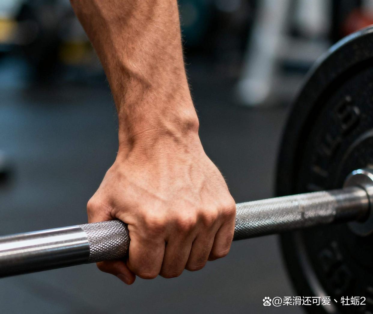 健身需要带手套吗_练到力竭才有肌肉_健身训练留口气