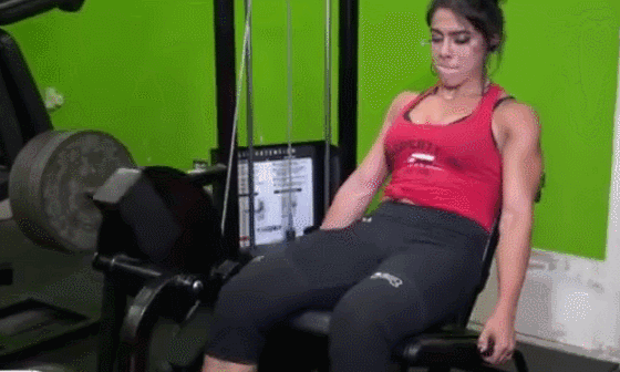 股四头肌训练方法_股四头肌保护膝盖作用_股四头肌训练椅