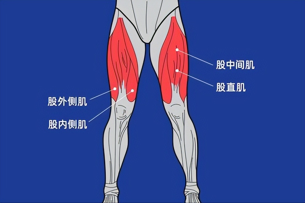 核心肌群训练方法_综合训练器总结_核心力量训练