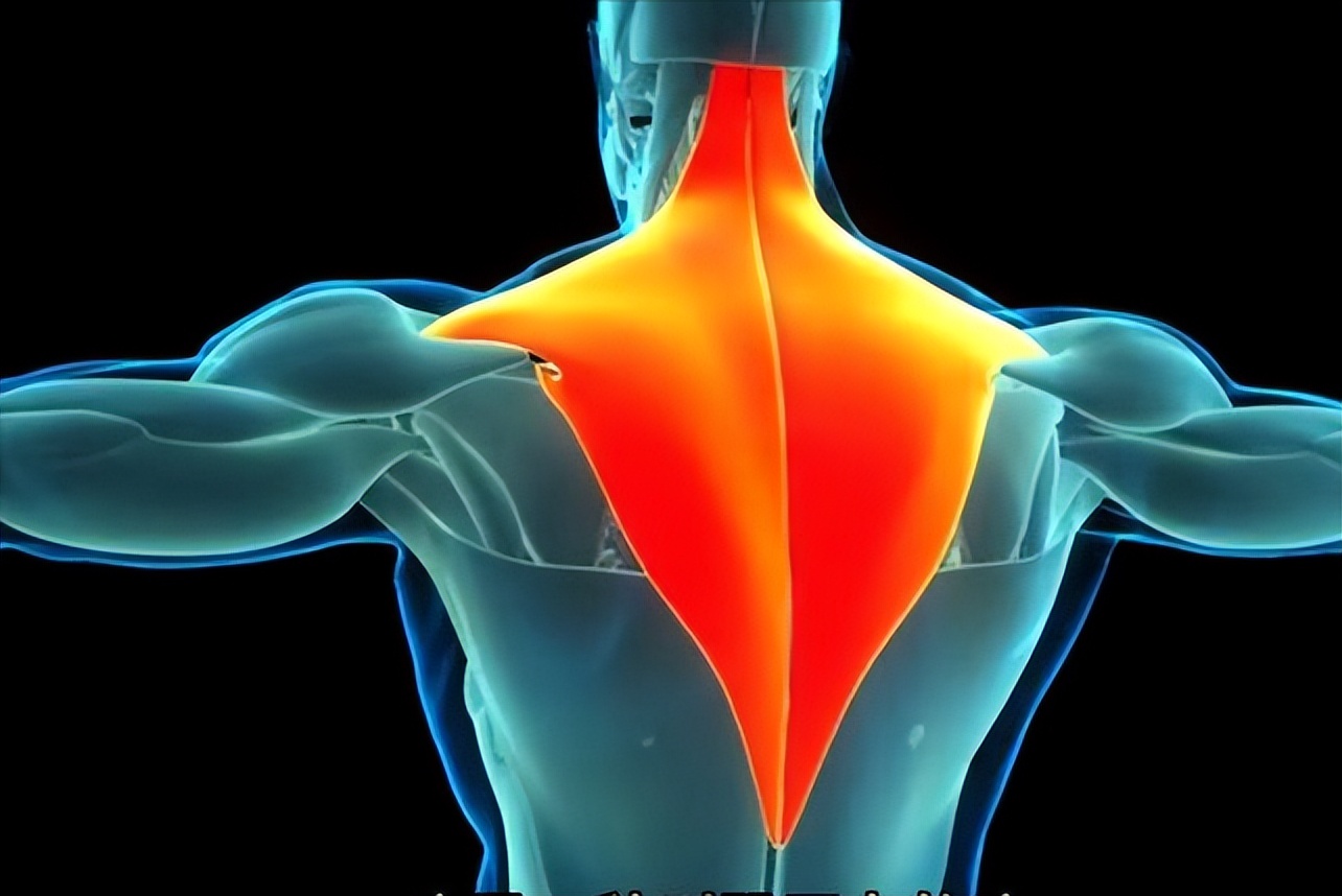 核心肌群训练方法_综合训练器总结_核心力量训练