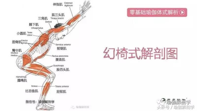 幻椅式正确做法_髋关节训练椅_瑜伽幻椅式教学