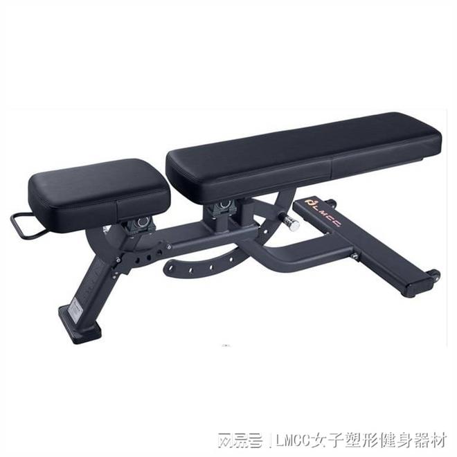 女子卧推凳背部训练_综合训练器_专业卧推凳选购指南