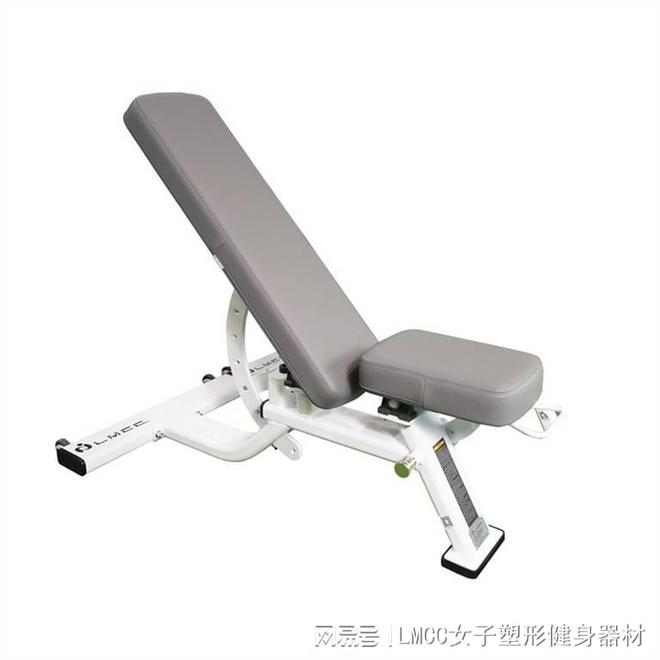 女子卧推凳背部训练_专业卧推凳选购指南_综合训练器