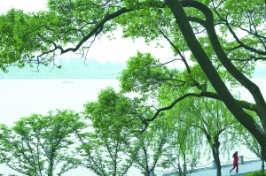 yy漫画画免费读漫画下拉式在线观看 今天你走了多少步？