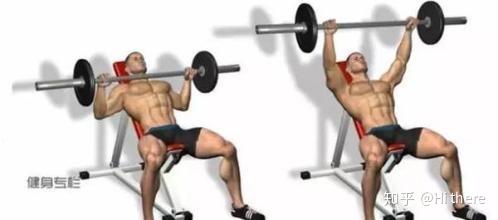 健身解剖词汇_健身入门词汇_健身用缠手带还是手套